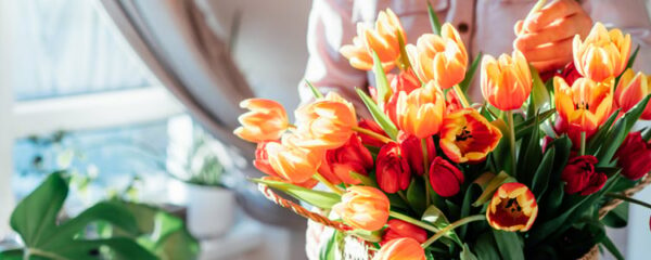 bouquet de tulipes