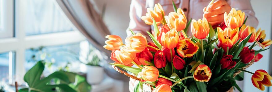 bouquet de tulipes